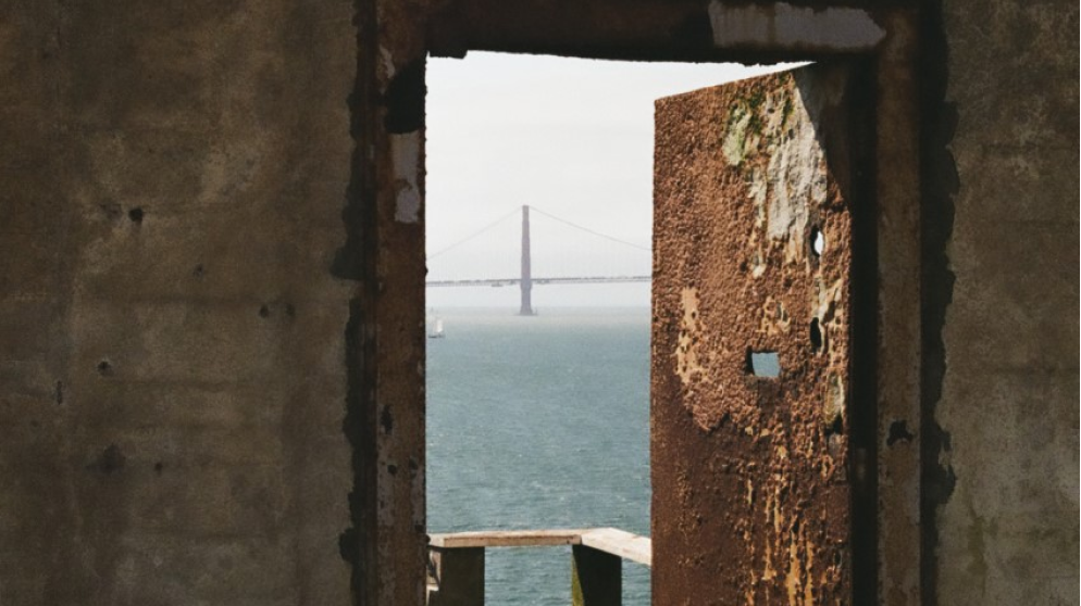 Photo of the Month Winner: August 2022