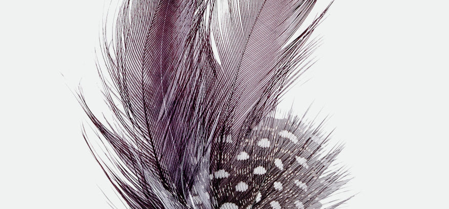 Brixton Unisex Brixton Hat Feather - Burnt Henna/Black | Main