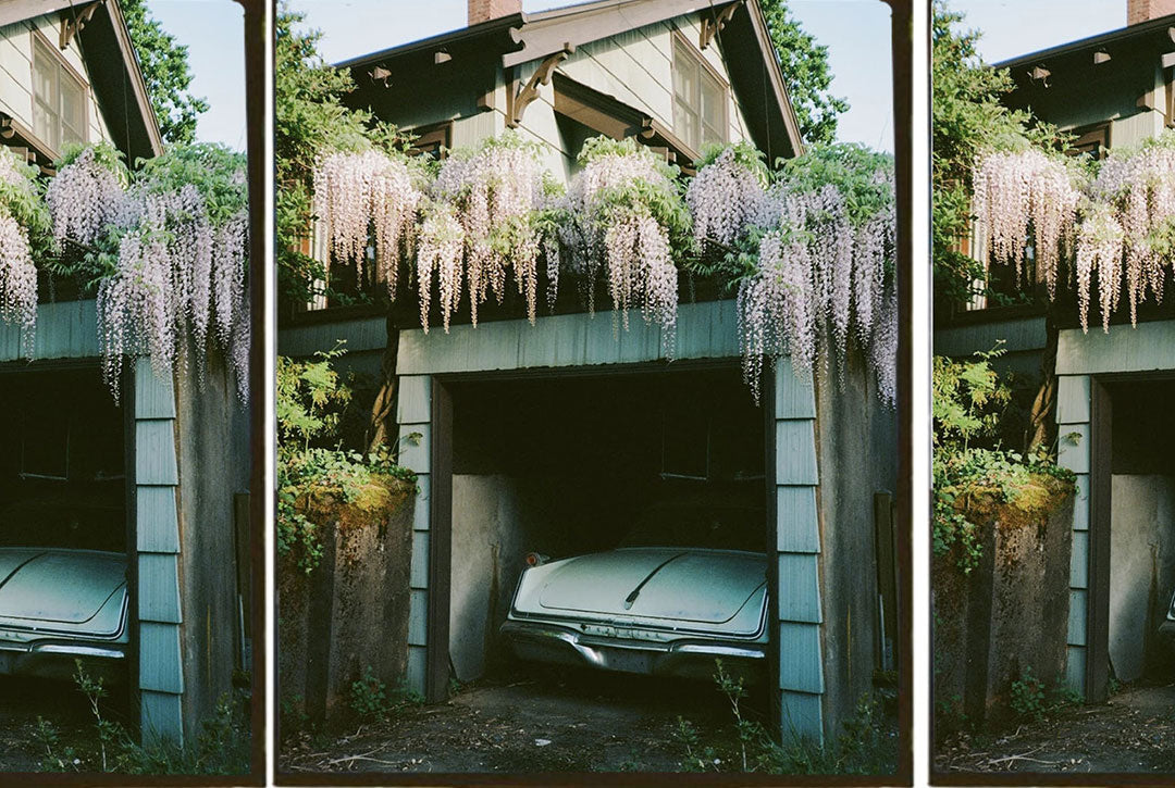 Photo Of The Month Winner: May 2023