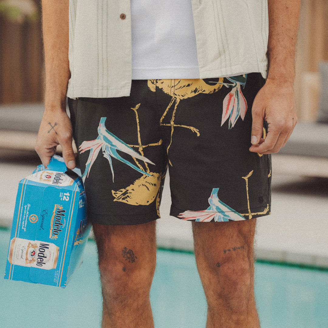 
       Men&#39;s Shorts pool party
     