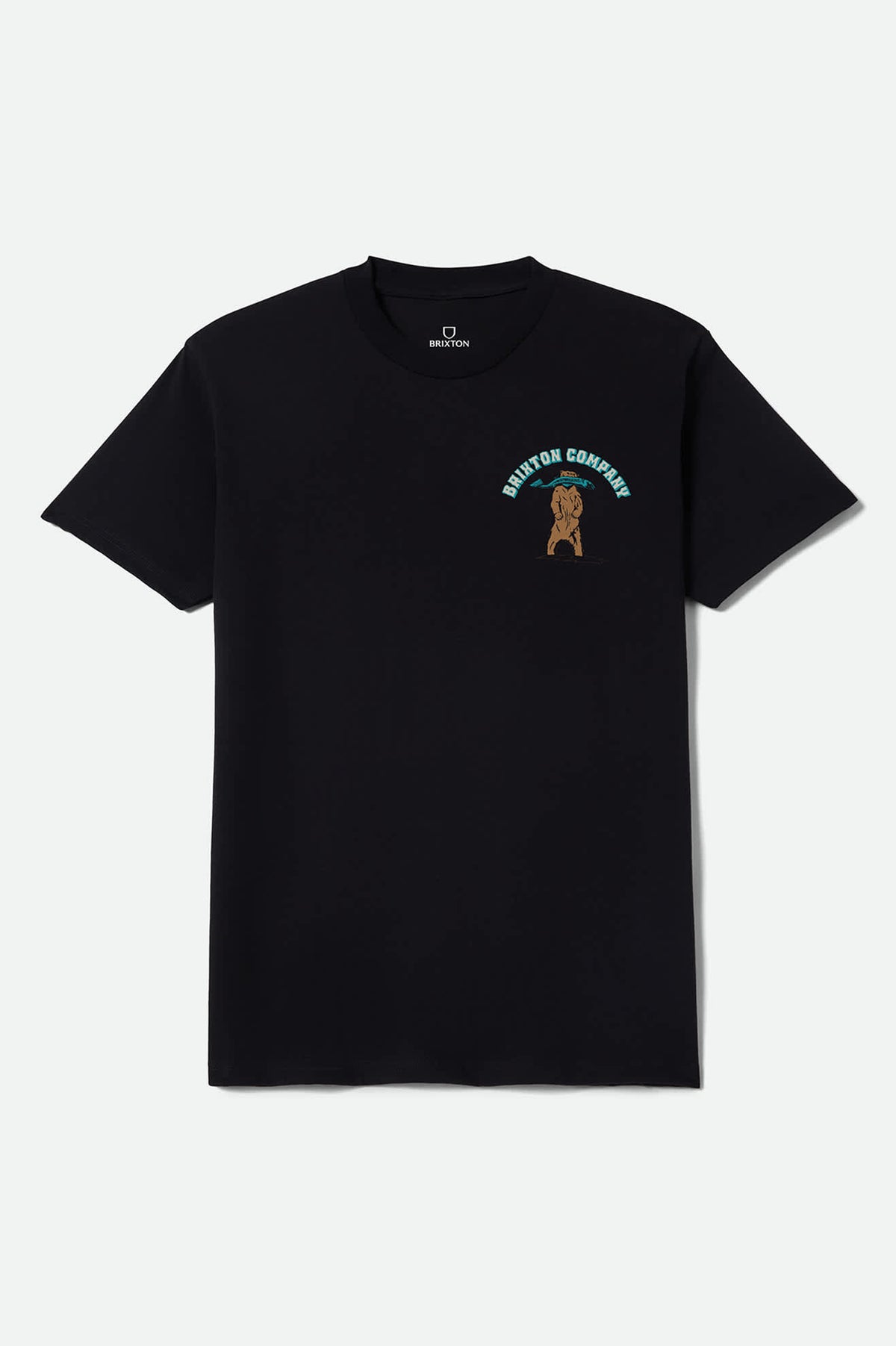 Men's Provisions Standard T-Shirt in the color Black - Front Product View