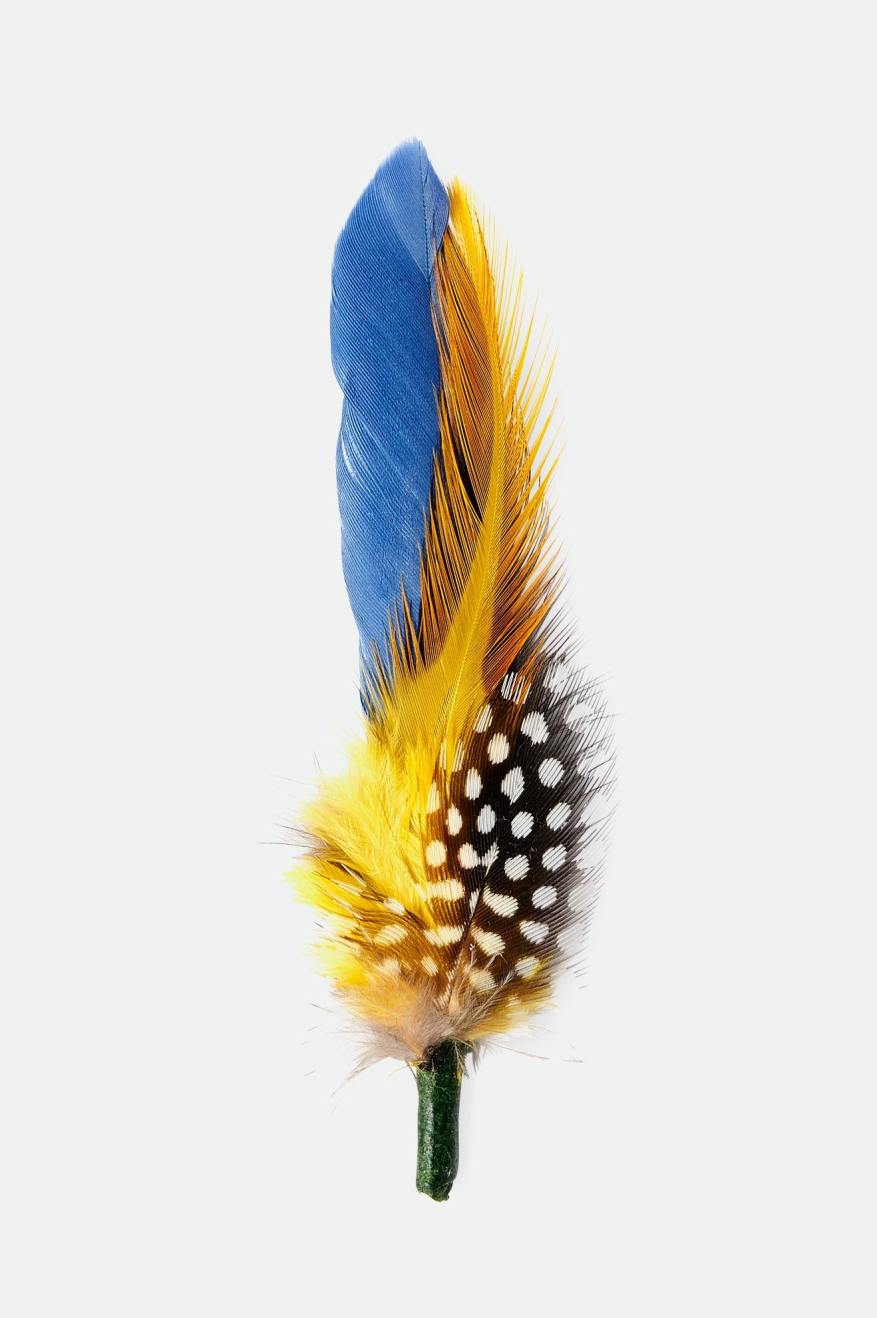 
       Brixton Unisex Brixton Hat Feather - Joe Blue/Black/Yellow | Main
     