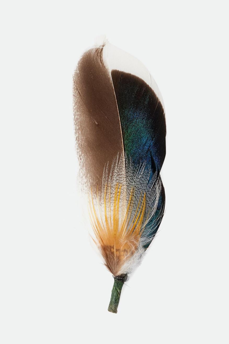 Brixton Unisex Brixton Hat Feather - Moonlit Ocean/Bison/Mojave | Main