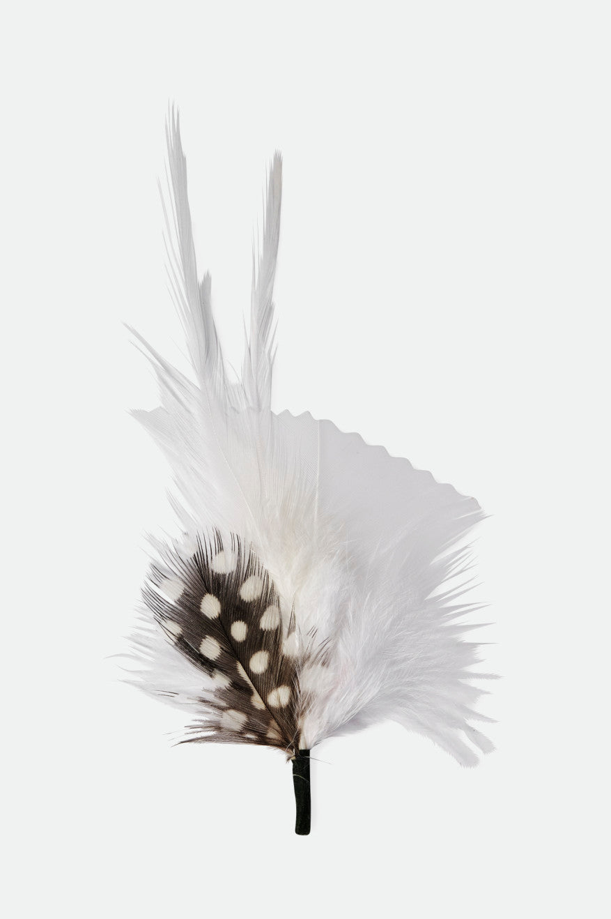 
       Brixton Hat Feather - White/Black
     